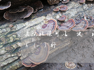 法院社?？梢约s定嗎(社保工資法院能執(zhí)行嗎)