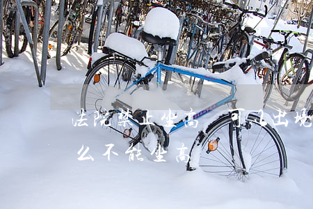 法院禁止坐高鐵可以出境嗎(被法院限制為什么不能坐高鐵)