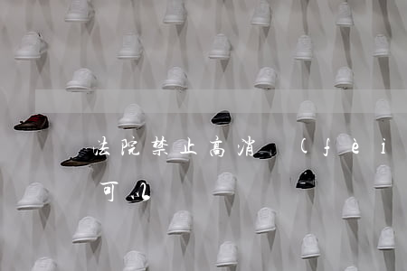 法院禁止高消費(fèi)坐飛機(jī)可以嗎