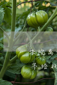 法院离婚判的抚养费可以不给吗(离婚判决后不给抚养费,孩子可以去起诉吗)