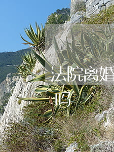 法院离婚可以马上离吗(现在离婚需要去法院吗?)