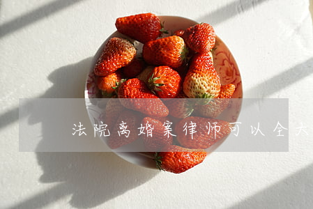 法院离婚案律师可以全大表吗