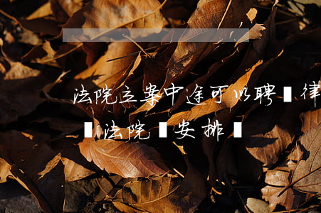 法院立案中途可以聘請律師嗎(開庭沒有請律師 法院會安排嗎)
