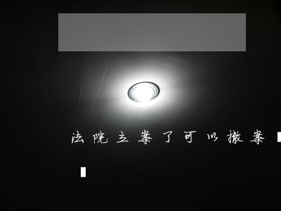 法院立案了可以撤案嗎(法院起訴立案可以撤嗎?)