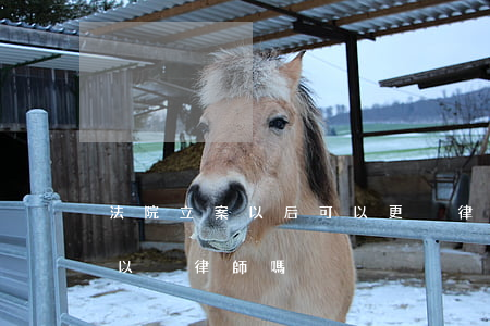 法院立案以后可以更換律師嗎(官司起訴了,可以換律師嗎)