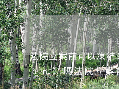 法院立案前可以凍結(jié)房產(chǎn)嗎(法院立案前可以凍結(jié)房產(chǎn)嗎)