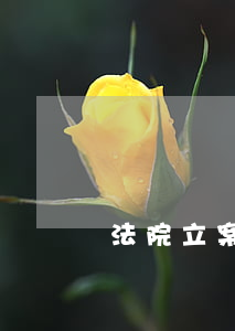 法院立案可以撤案嗎(立案以后能不能撤訴)