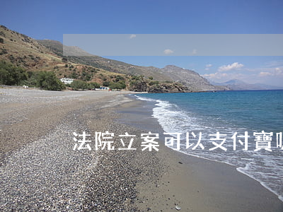 法院立案可以支付寶嗎(法院查封支付寶?)