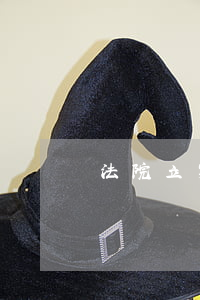 法院立案可以查工作單位嗎