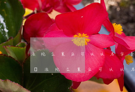 法院立案后可以以名字查房產(chǎn)嗎(法院立案后可以以名字查房產(chǎn)嗎)