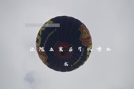 法院立案后可以增加訴訟請求嗎(訴訟中增加訴訟請求)