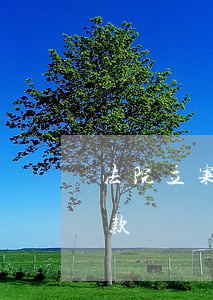 法院立案后可以貸款嗎(法院有起訴案件能貸款嗎?)
