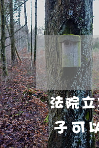 法院立案后房屋還可以過戶買賣嗎(立案后房子可以過戶嗎)