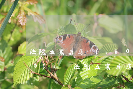 法院立案后房產(chǎn)可以過(guò)戶嗎(法院立案后房產(chǎn)可以過(guò)戶嗎)