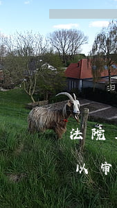 法院立案庭可以开庭吗(法院为何说立案庭可以审案)