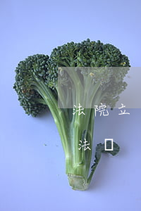 法院立案窗口可以拍照嗎(在法院門口拍照違法嗎)
