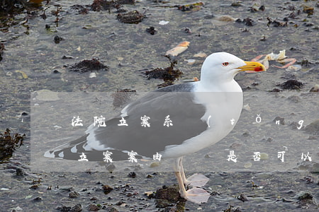 法院立案系統(tǒng)可以修改嗎(法院立案案由錯誤是否可以更改)
