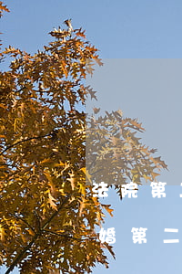 法院第二次判離婚可以不離嗎(第一次判不離婚,第二次能判離嗎?)