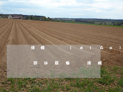 法院簽調(diào)解協(xié)議后可以反悔嗎(法院簽調(diào)解協(xié)議后可以反悔嗎)
