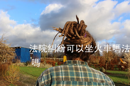 法院糾紛可以坐火車嗎(法院糾紛可以坐火車嗎)