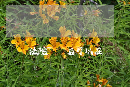 法院終審后可以在審嗎