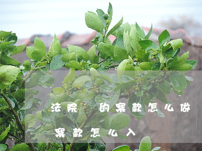 法院給的案款怎么做賬(法院執(zhí)行案款怎么入賬)