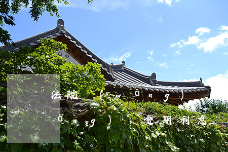 法院網(wǎng)貸逾期怎么計算 網(wǎng)貸逾期利息計算