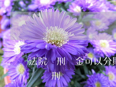 法院緩刑罰金可以分期交嗎(罰金分期繳納影響減刑嗎)