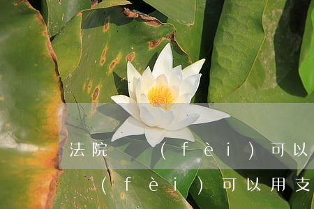 法院繳費(fèi)可以用支付寶嗎(法院繳費(fèi)可以用支付寶嗎)