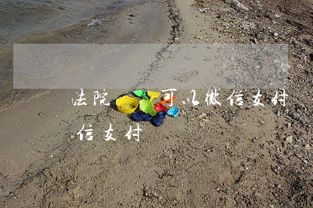 法院繳費可以微信支付嗎(法院訴訟費可以微信支付嗎?)