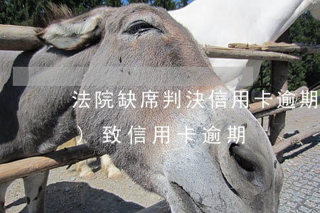 法院缺席判決信用卡逾期(被判刑導(dǎo)致信用卡逾期)