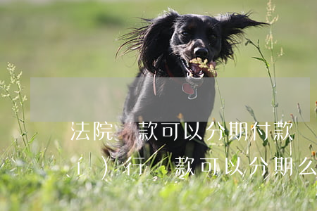 法院罰款可以分期付款嗎(法院強制執(zhí)行罰款可以分期么)