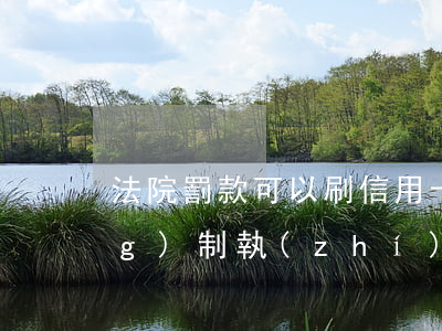 法院罰款可以刷信用卡嗎(法院強(qiáng)制執(zhí)行會扣信用卡的錢嗎)