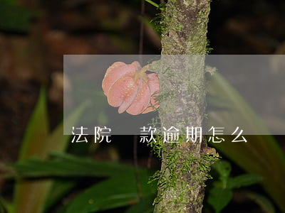 法院罰款逾期怎么辦(罰款逾期了怎么處理)