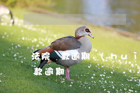 法院罰款逾期會(huì)被拘留嗎?（法院罰款逾期）