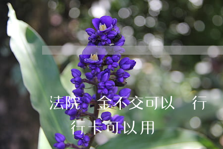 法院罰金不交可以銀行貸款嗎(法院罰金沒交銀行卡可以用嗎)