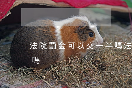 法院罰金可以交一半嗎(法院的罰金可以不交嗎)