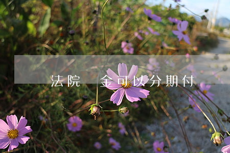 法院罰金可以分期付嗎
