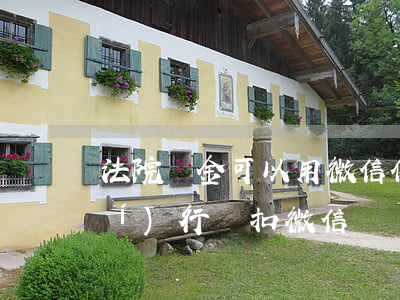 法院罰金可以用微信付嗎(法院強制執(zhí)行會扣微信錢嗎)