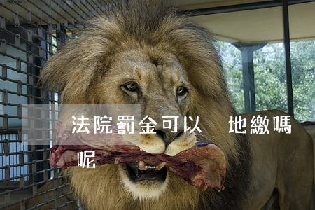 法院罰金可以異地繳嗎(異地法院罰金怎么交呢)