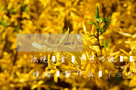 法院罰金沒叫可以做飛機(jī)嗎(交了法院的罰款什么時(shí)候可以坐飛機(jī))