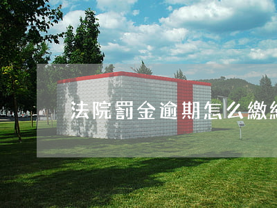 法院罰金逾期怎么繳納(法院罰金怎么處理)