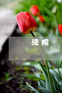 法院罰金逾期要利息嗎(利息逾期有罰息嗎)