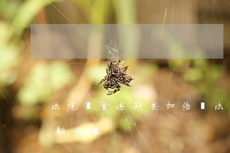 法院罰金逾期要加倍嗎(法院罰金逾期7年會翻倍嗎)