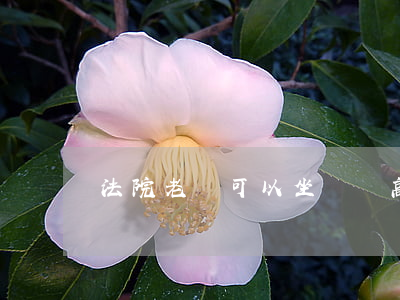 法院老賴可以坐動車高鐵嗎(老賴能坐高鐵和動車嗎)