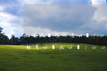 法院老賴可以考公務(wù)員嗎(老賴兒子能考公檢法公務(wù)員嗎)