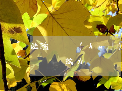 法院聽證會(huì)筆錄可以改嗎(行政聽證筆錄效力)