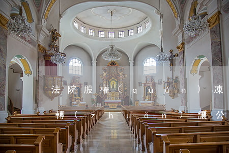 法院股權(quán)凍結(jié)可以轉(zhuǎn)讓公司嗎(股權(quán)凍結(jié)后能否股權(quán)轉(zhuǎn)讓)
