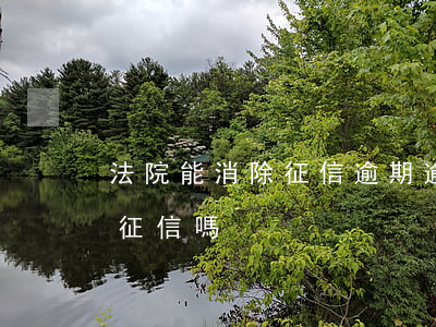 法院能消除征信逾期(逾期可以修復(fù)征信嗎)