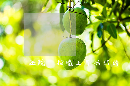 法院臨控晚上可以抓的嗎(法院會半夜抓人嗎?)